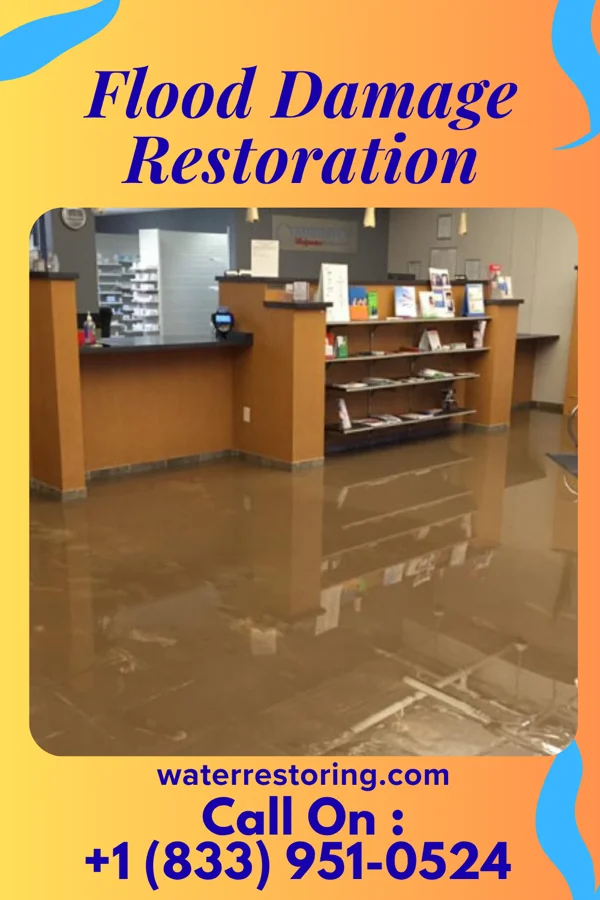 Flood Damage Restoration in Parkdale, AR