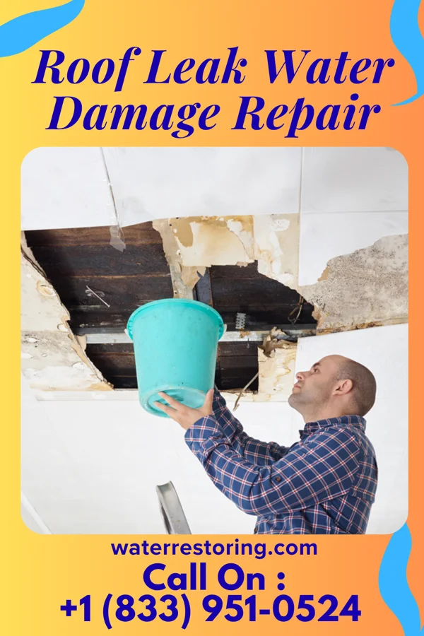 Roof Leak Water Damage Repair in Parkdale, AR